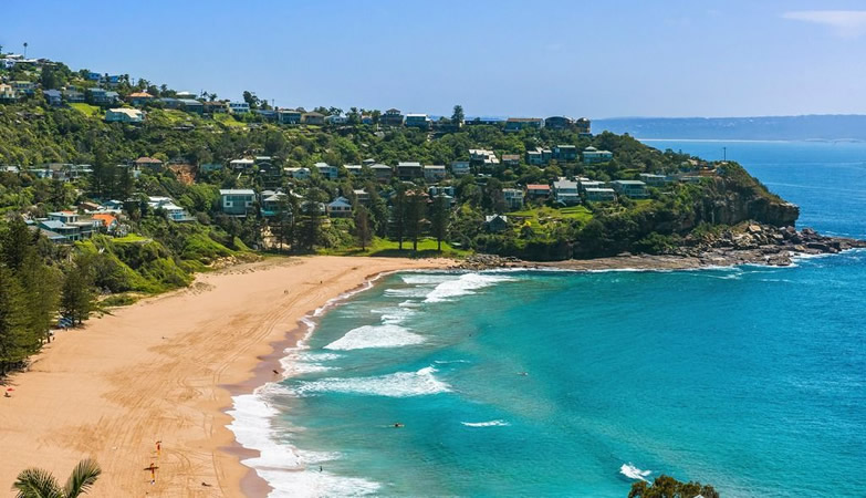 Whale Beach View