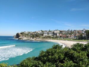 bronte buyers agent