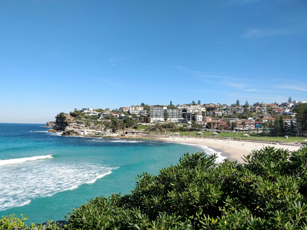 bronte buyers agent