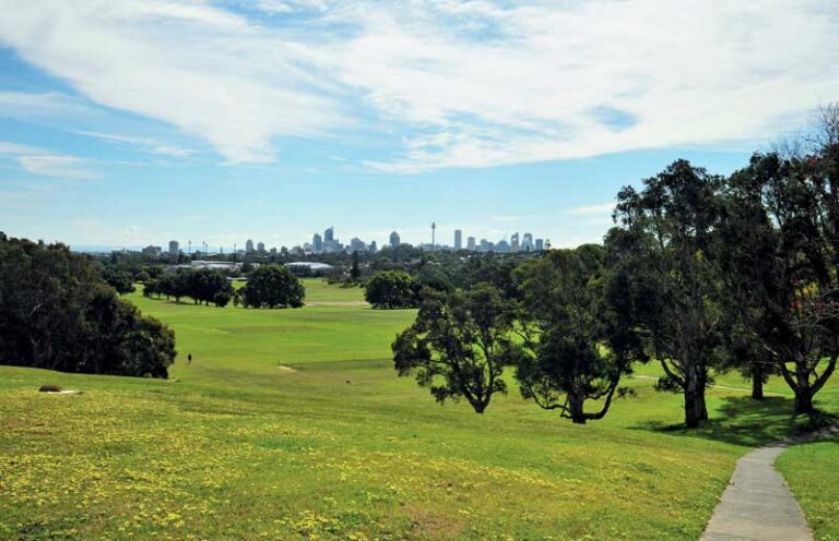 Pine Street – Randwick