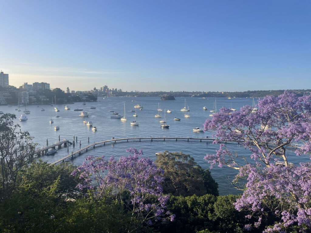 Double Bay Buyers Agent 