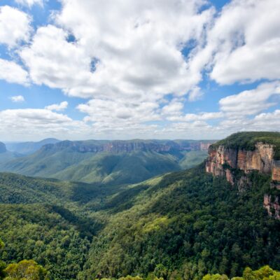 Blue Mountains Property Market