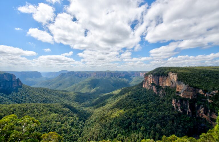 Blue Mountains Property Market