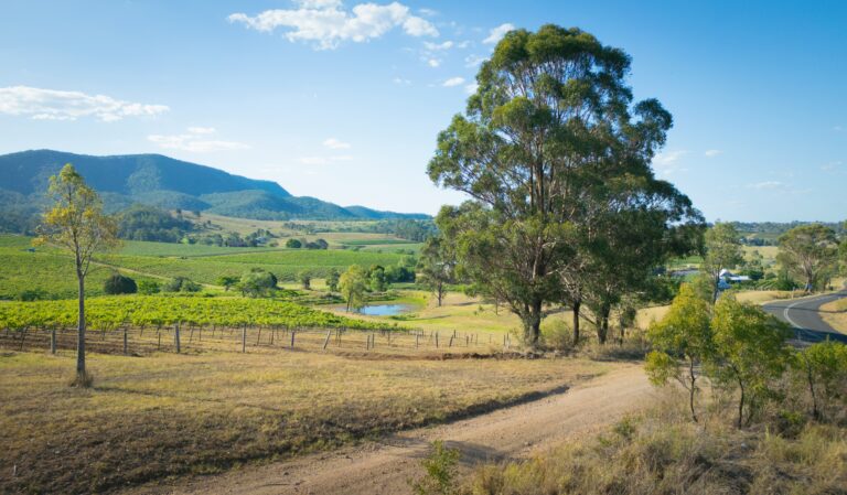 Southern Highlands Guide